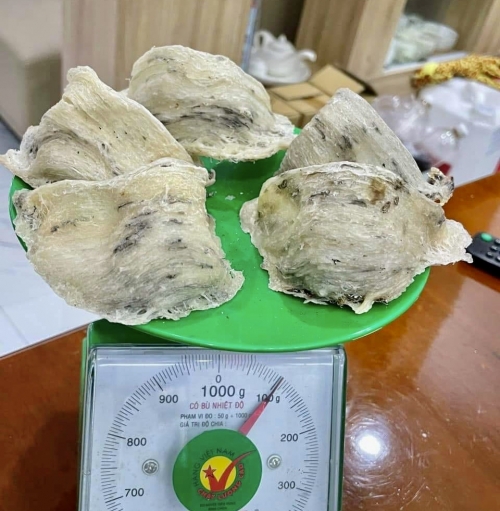 Hướng dẫn cách làm sạch lông yến từ yến thô