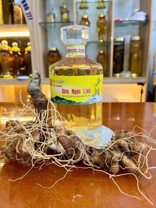 So sánh rượu Sâm Ngọc linh và rượu Ngoại
